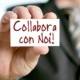 collabora con noi
