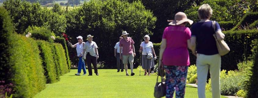 Sport e anziani e badante