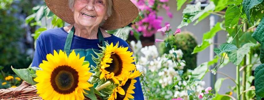 Anziani fumatori e badante