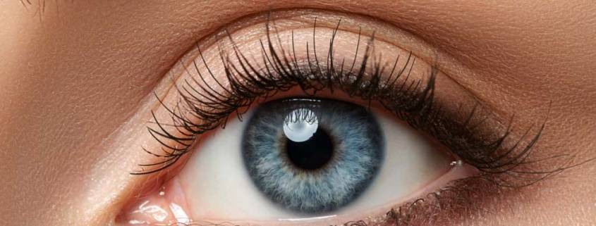 Fiducia della badante