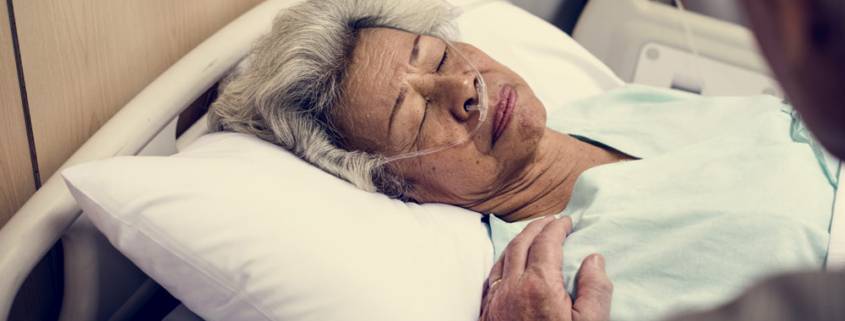 badante ricovero ospedaliero