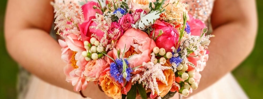 cassazione matrimonio badante