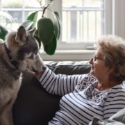 badante e animali badante e animali