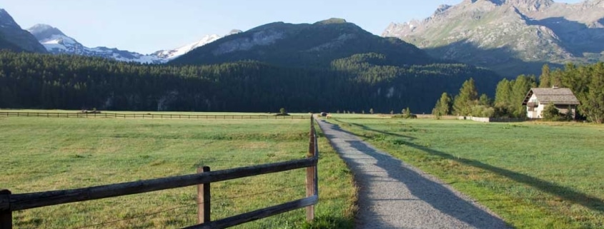 badante in provincia