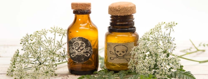 medico avvelenato badante giusta